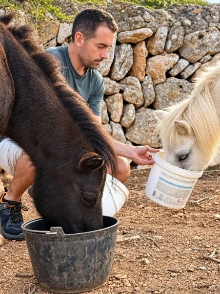 Carlos füttert ein Pony auf einem Grundstück auf Mallorca